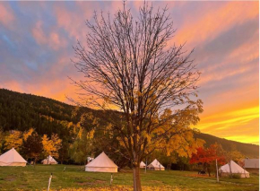 Utopia Feels Botanical Glampground and Micro-Farm